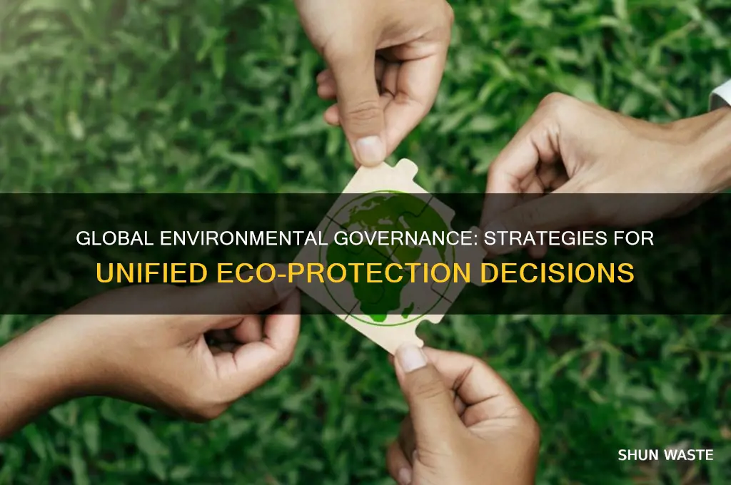 how can we take decisions internationally to protect the environment