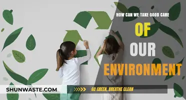 Sustainable Living: Simple Steps to Protect and Preserve Our Environment