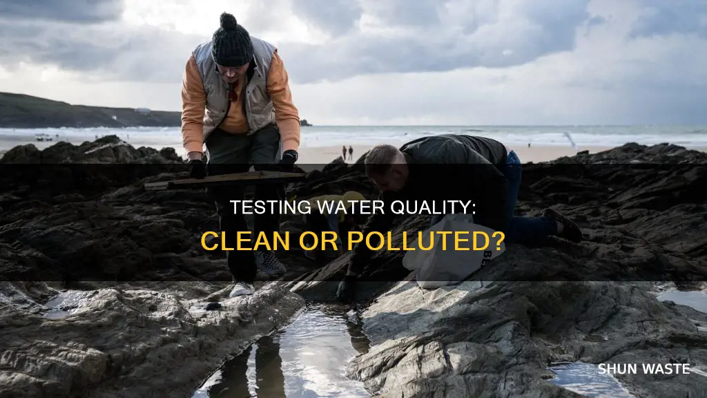 how can we tell if water is polluted or clean