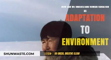 Understanding Human Variation: Environmental Adaptations Shaping Our Diverse World