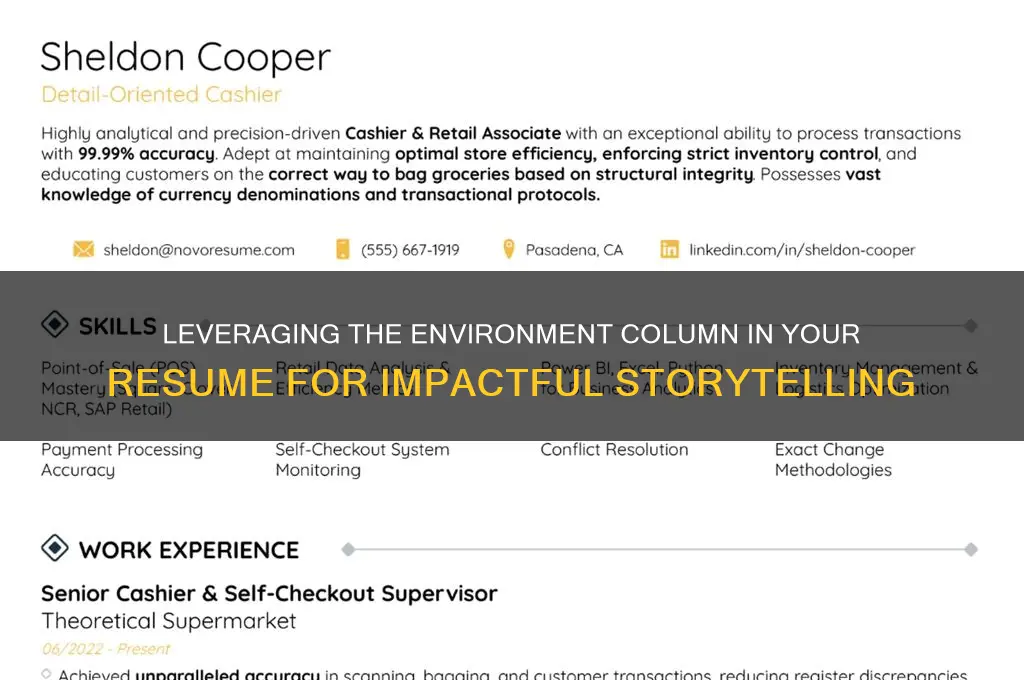how can we use environment column in resume