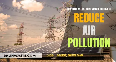 Renewable Energy: Fighting Air Pollution, Saving the Planet