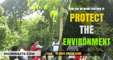 Uniting for a Greener Future: Collaborative Efforts to Protect Our Environment