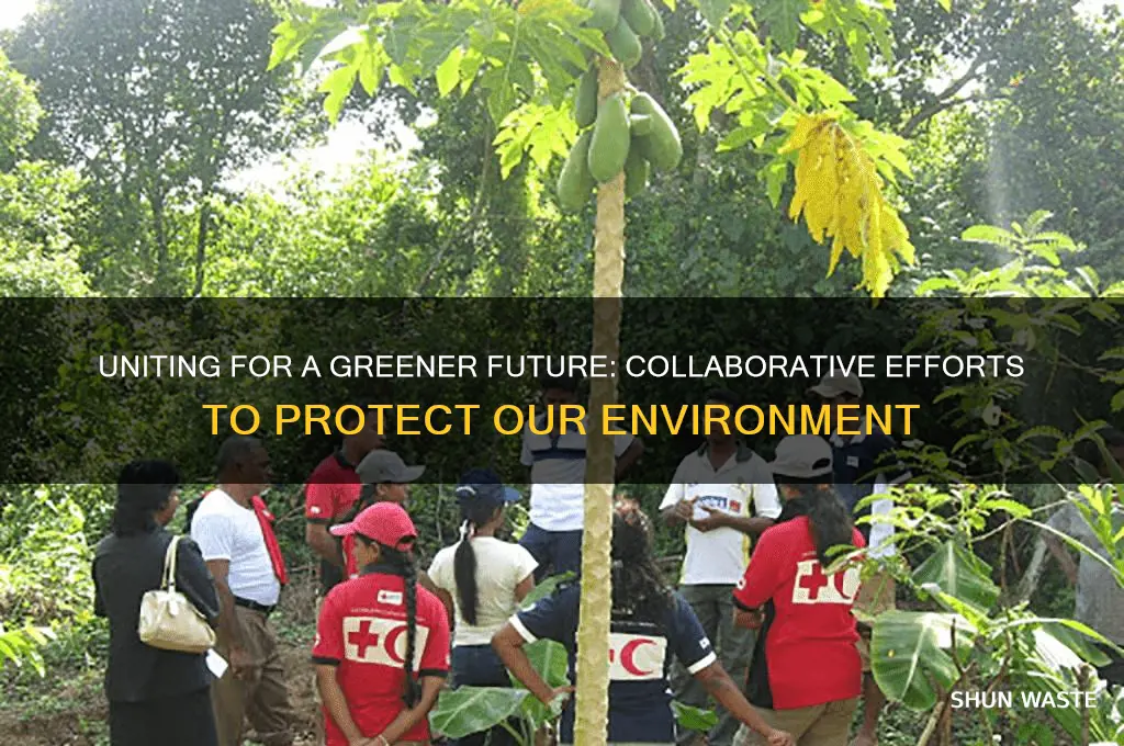 how can we work together to protect the environment