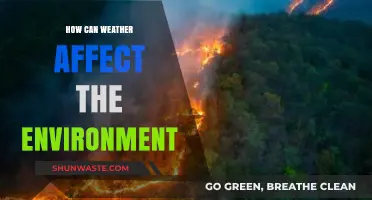 Weather's Impact: How Climate Changes Shape Our Environment and Ecosystems