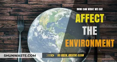 Sustainable Diets: How Food Choices Impact Our Planet's Health
