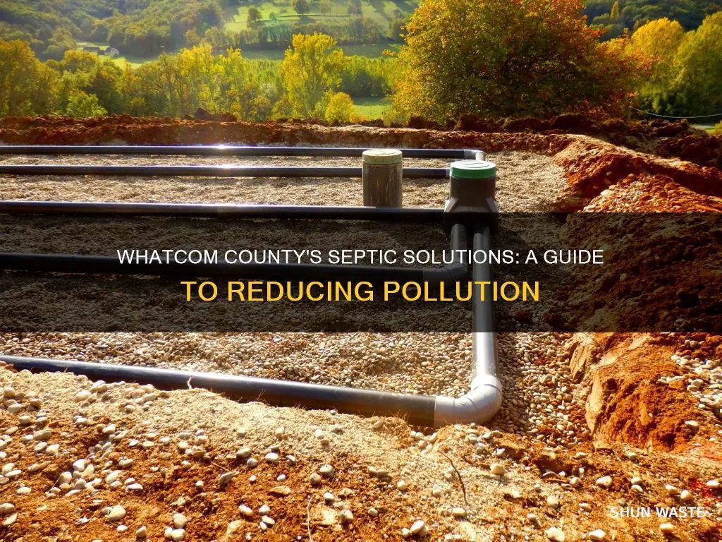 how can whatcom county address the septic system pollution problem