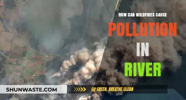 Wildfires' Impact: Pollution in Rivers After Blazes