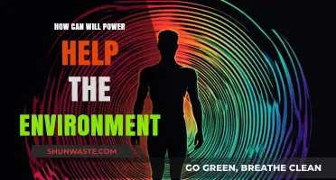 Harnessing Will Power: A Sustainable Path to Environmental Conservation