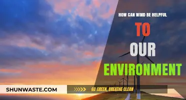 Harnessing Wind Power: Sustainable Benefits for a Greener Environment
