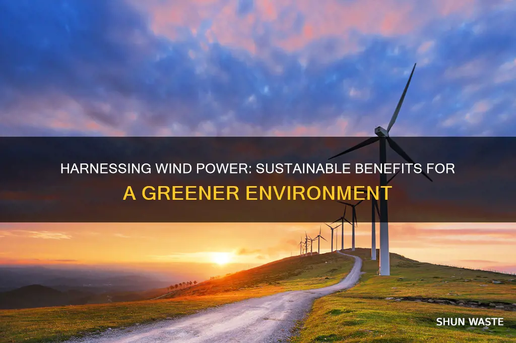 how can wind be helpful to our environment