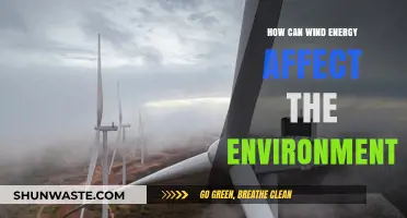 Wind Energy's Environmental Impact: Benefits, Challenges, and Sustainability Insights