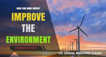 Harnessing Wind Power: Sustainable Solutions for a Greener Environment