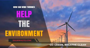 Harnessing Wind Power: How Turbines Combat Climate Change and Protect Ecosystems