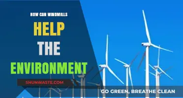 Harnessing Wind Power: How Windmills Promote a Greener, Sustainable Future