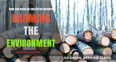Sustainable Wood Harvesting: Eco-Friendly Practices for Responsible Collection