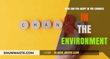 Adapting to Change: Strategies for Thriving in a Shifting Environment