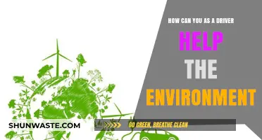 Eco-Friendly Driving: Simple Tips for a Greener Commute