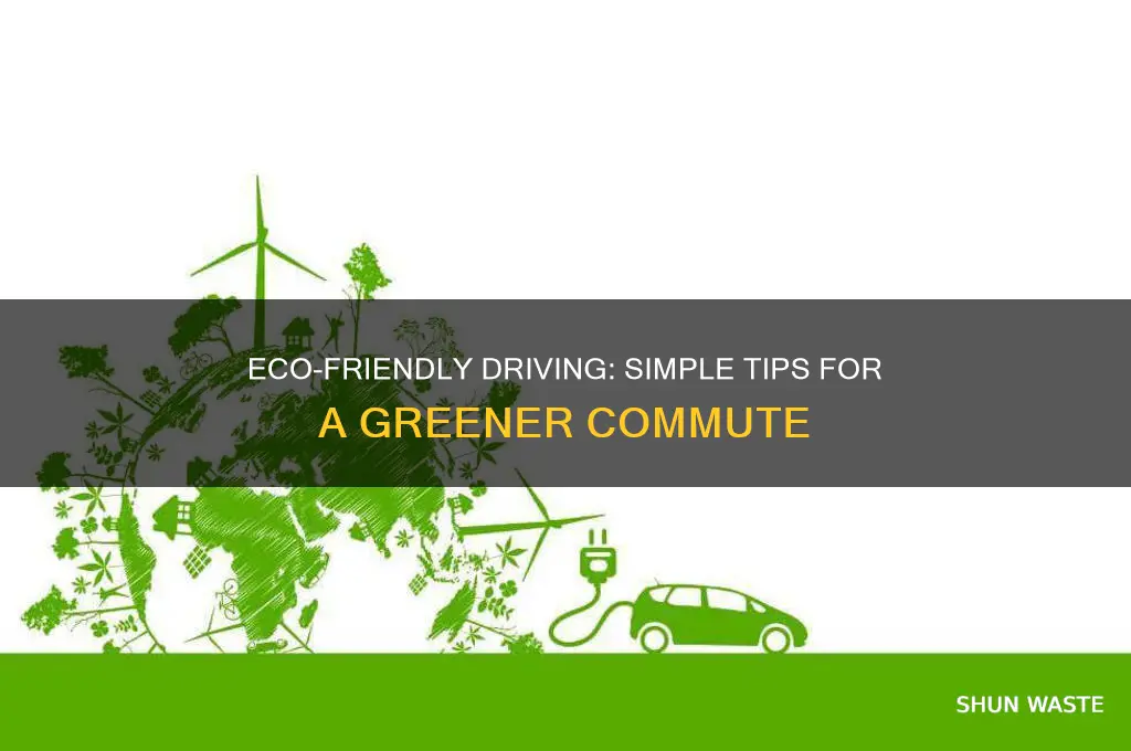 how can you as a driver help the environment