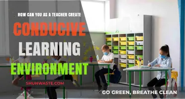 Fostering Success: Crafting a Conducive Learning Environment as a Teacher