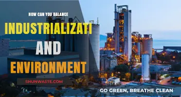 Sustainable Progress: Balancing Industrial Growth and Environmental Preservation