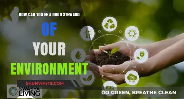 Sustainable Living: Simple Steps to Protect and Preserve Our Planet