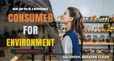 Sustainable Choices: How to Be an Eco-Friendly Responsible Consumer