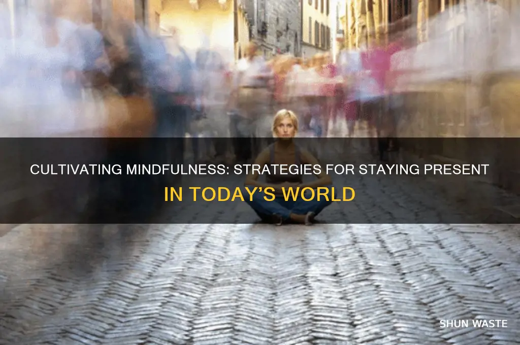 how can you be mindful in this environment