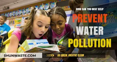 Protecting Our Waters: Simple Steps to Prevent Water Pollution