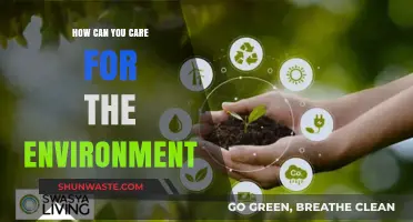 Sustainable Living: Simple Steps to Protect and Preserve Our Planet