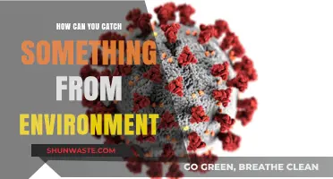Environmental Pathogens: How Everyday Surroundings Can Transmit Infections