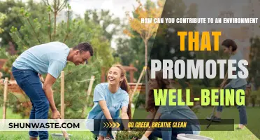 Fostering Well-Being: Simple Ways to Create a Supportive Environment