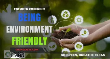 Sustainable Living: Simple Steps to Contribute to an Environment-Friendly World