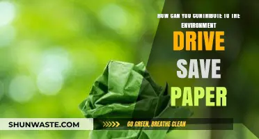 Eco-Friendly Tips: Save Paper, Protect Forests, and Preserve Our Planet