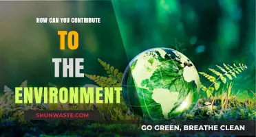 Sustainable Steps: How You Can Contribute to a Greener Environment