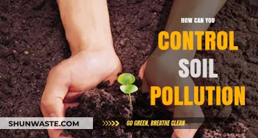 Efficient Strategies to Mitigate Soil Pollution: A Comprehensive Guide