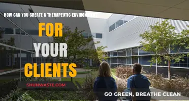 Designing Healing Spaces: Crafting a Therapeutic Environment for Client Well-being