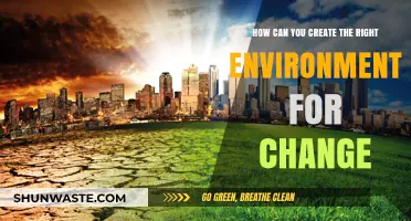 Fostering Change: Crafting the Ideal Environment for Transformation and Growth