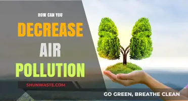 Breathing Clean: 5 Simple Steps to Reduce Air Pollution