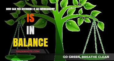 Assessing Ecological Harmony: Key Indicators of a Balanced Environment