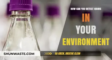 Detecting Environmental Odors: Effective Methods to Identify Smells Around You