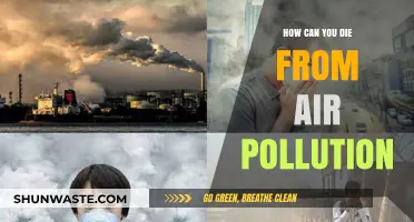 The Silent Killer: How Air Pollution Can Take Your Breath Away