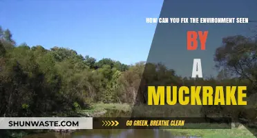 Revitalizing the Muckraker's View: Strategies to Restore Our Environment