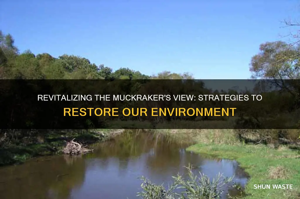 how can you fix the environment seen by a muckraker