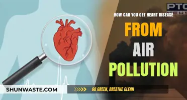 Breathing in Danger: How Air Pollution Increases Heart Disease Risk