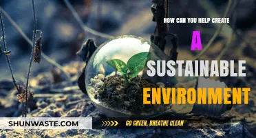 Sustainable Living: Simple Steps to Protect Our Planet and Future