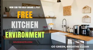 Keep Your Kitchen Pest-Free: Essential Tips for a Clean Environment
