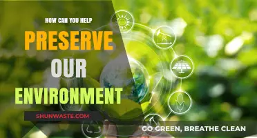 Sustainable Steps: Simple Ways to Protect and Preserve Our Environment
