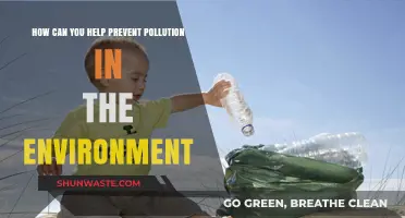 Simple Steps to Reduce Pollution and Protect Our Environment