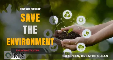 Sustainable Steps: Simple Ways to Protect Our Planet and Preserve Nature